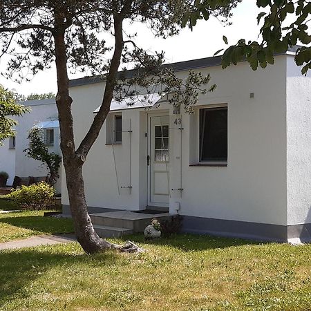Ferienhaeuschen Kuestenwald Bei Warnemuende, Eigener Garten, Terrasse Mit Strandkorb, 400M Zum Strand Diedrichshagen  Buitenkant foto