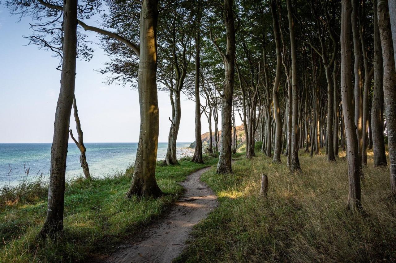Ferienhaeuschen Kuestenwald Bei Warnemuende, Eigener Garten, Terrasse Mit Strandkorb, 400M Zum Strand Diedrichshagen  Buitenkant foto